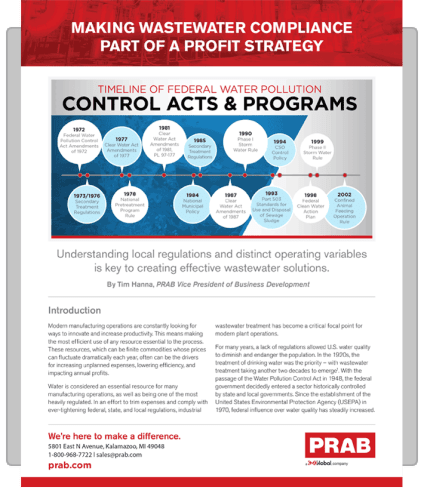 White Paper PDF Cover | Prab.com White Paper PDF Cover | Prab.com