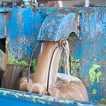 Industrial rinse water recycling system for metalworking operations