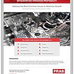 PRAB product brochure cover for pH adjustment systems
